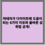 마테차 다이어트가 도움이 되는 6가지 이유와 올바른 섭취법 공개!