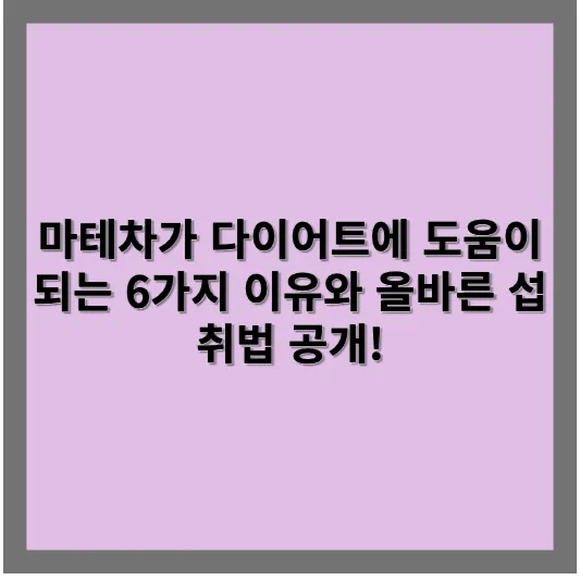 마테차 다이어트가 도움이 되는 6가지 이유와 올바른 섭취법 공개!