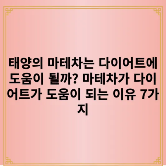 태양의 마테차는 다이어트에 도움이 될까? 마테차가 다이어트가 도움이 되는 이유 7가지