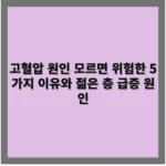 고혈압 원인 모르면 위험한 5가지 이유와 젊은 층 급증 원인